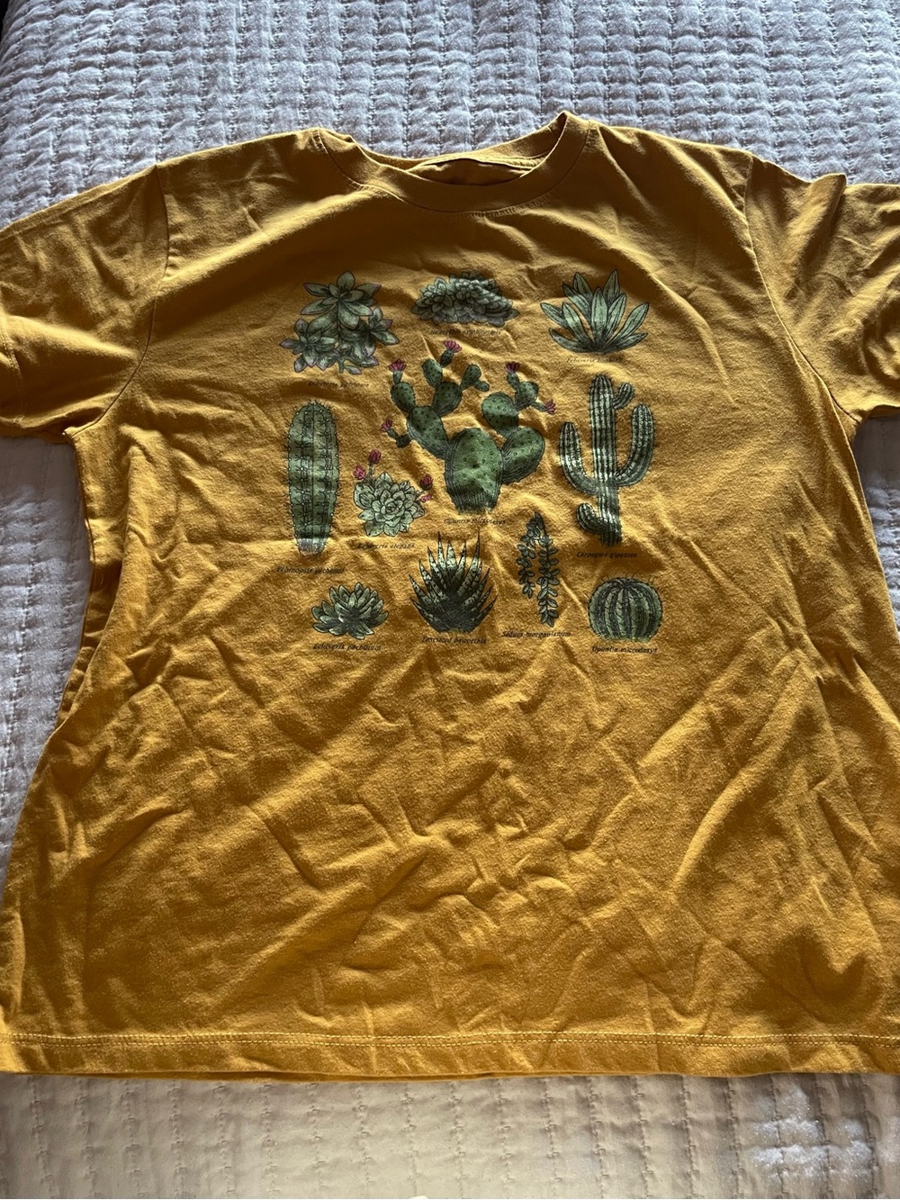 Fifth Sun Mustard Crewneck Tee with Printed Label